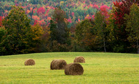 Hay Bales Surrounded by Color