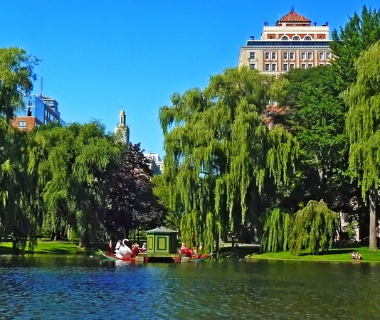 Swanboat At Boston Public Garden