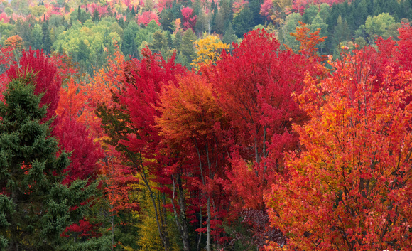 Fall Colors In The Northeast